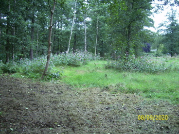 Vergleichsbild aus Sep. 20